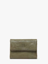Portefeuille Leder Biba Groen wallet TOT1L