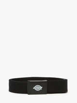 Riem Orcutt Dickies Zwart orcutt KD0A4X7E
