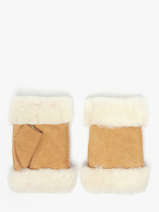 Handschoenen Isotoner Bruin women gloves 68663