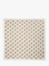 Foulard Guess Wit accessoires 454SIL03