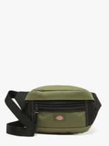 Belt Bag Ashville Dickies Groen ashville KD0A4Y1U