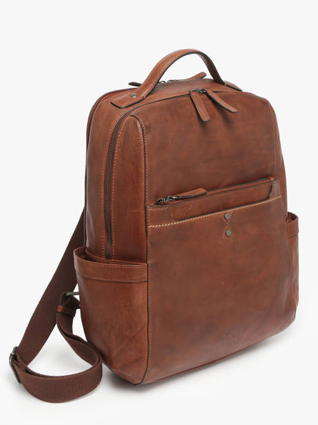 Business Rugzak Basilic pepper Bruin traveler BTRA10 ander zicht 1